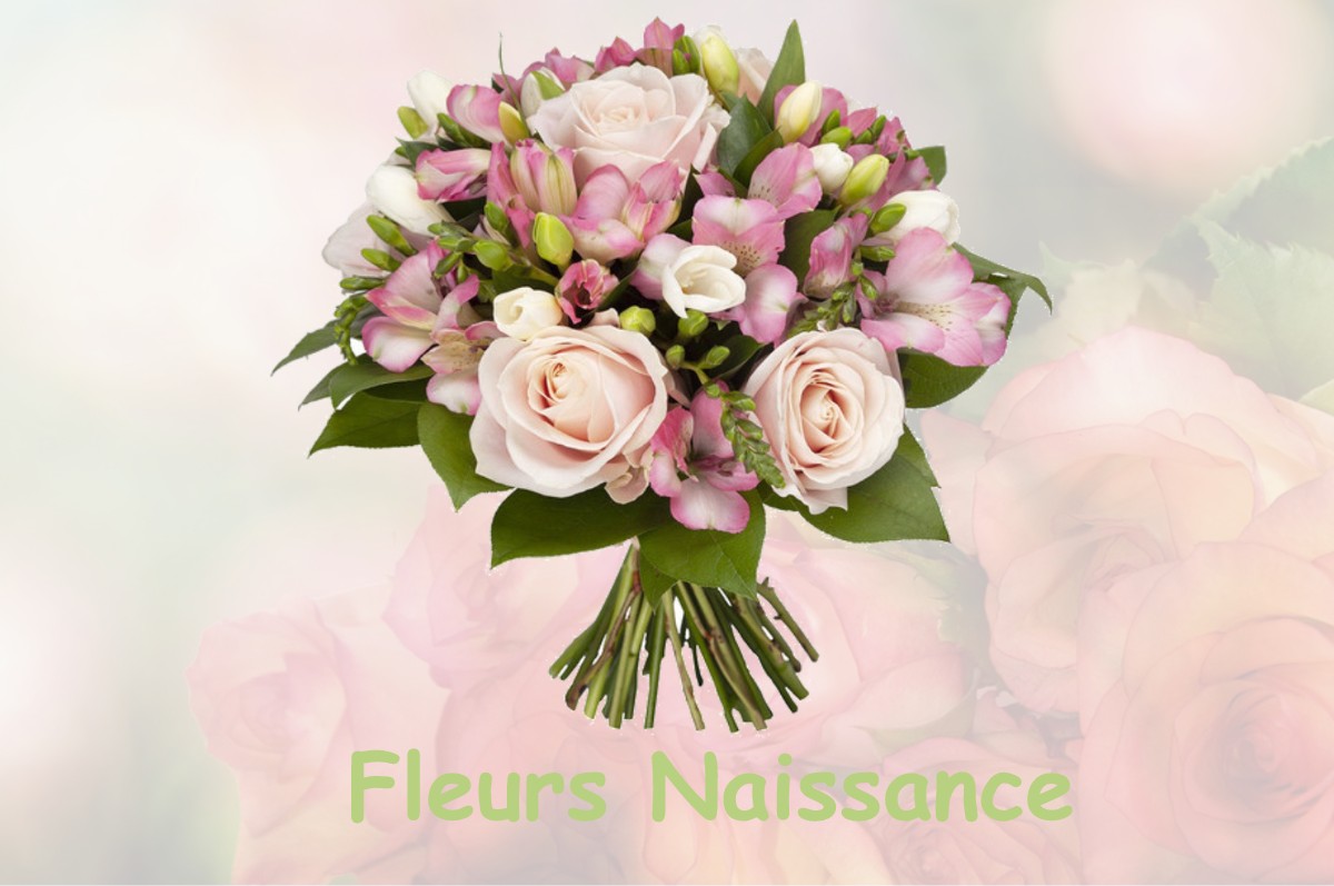 fleurs naissance TUGERAS-SAINT-MAURICE